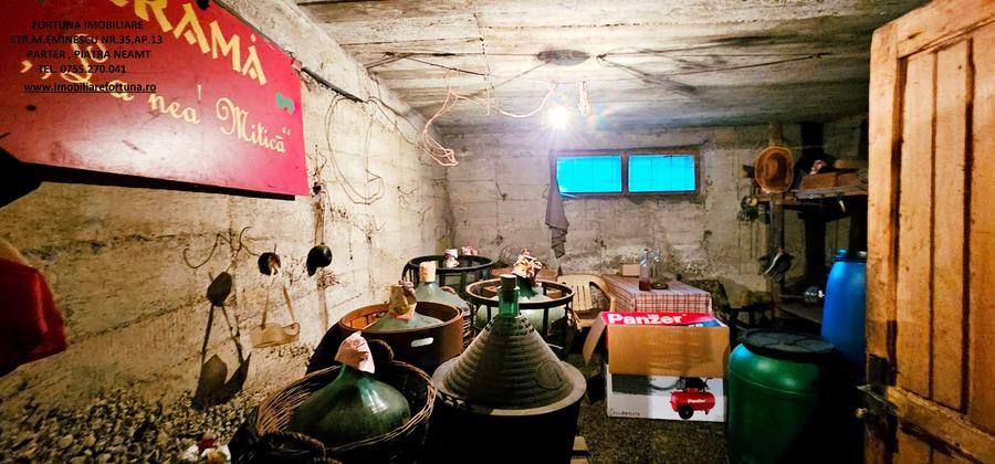 Casa tip duplex cu garaj, beci si crama, zona carrefour- Piatra Neamt - 9