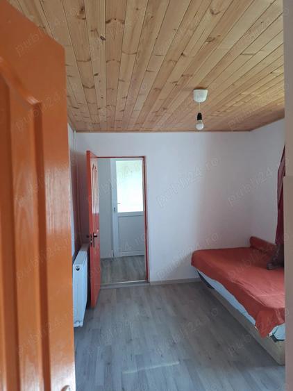 Casa de vanzare in DB, Visinesti, Urseiu - 4