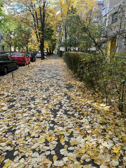 Vand apartament 2 camere - 9