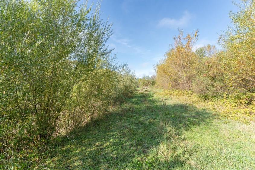 Proprietate rara in Covasna - liniste, spatiu si potential de investitie - 46