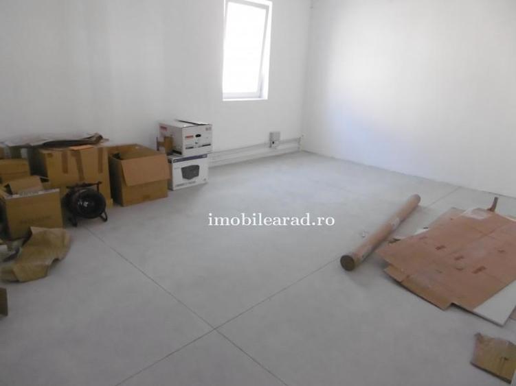 Hale de închiriat in Arad diverse zone aproape de autostrada A1 - 5