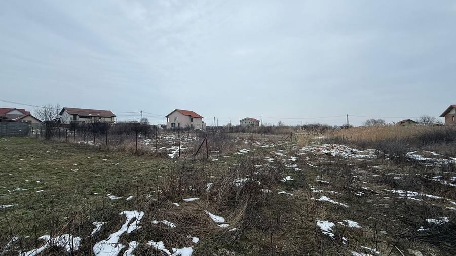 COMISION 0% | Teren de Vanzare in Sacalaz | Front 20m | 605mp - 3