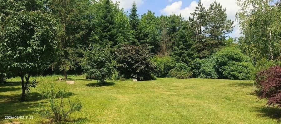 PARADISUL VERDE. PARCELA DE TEREN 1363 MP. LOT SPECIAL. RETRAS - 1