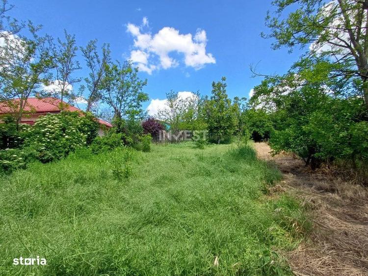 Teren Intravilan, 602 Mp, Rediu - 1