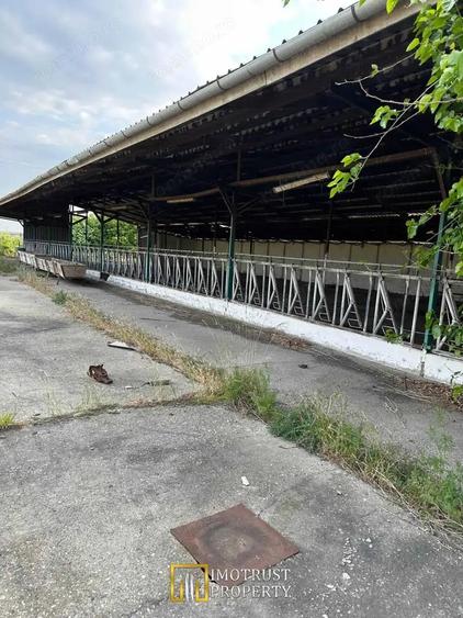 Teren 9.508 mp cu 2 fronturi stradale Sofronea, Arad - 4