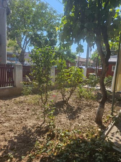 Casa de vanzare - zona Coiciu - 13