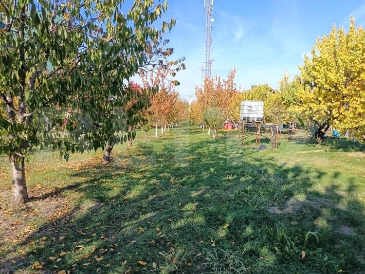 Teren Construcții intravilan de 3325 mp, în Măgurele