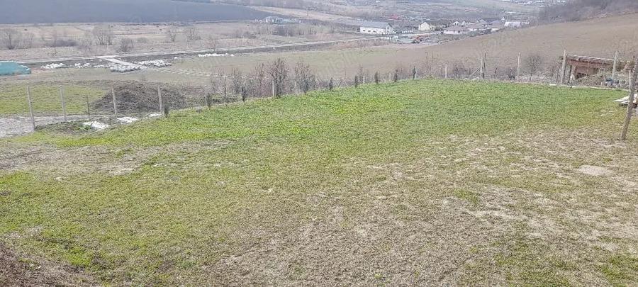 Teren de 750 mp, în Livezeni