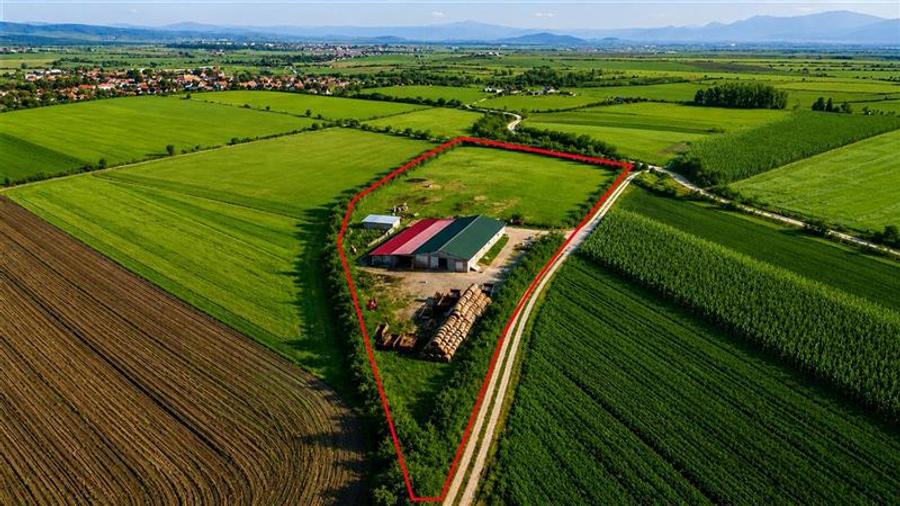 Teren agricol extravilan de 18000 mp, în Rotbav