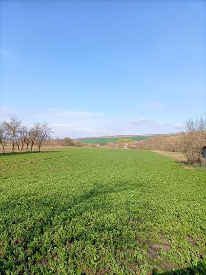 Teren Construcții intravilan de 3550 mp, în Răscruci