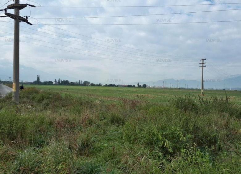 Teren Construcții intravilan de 40000 mp, în Central