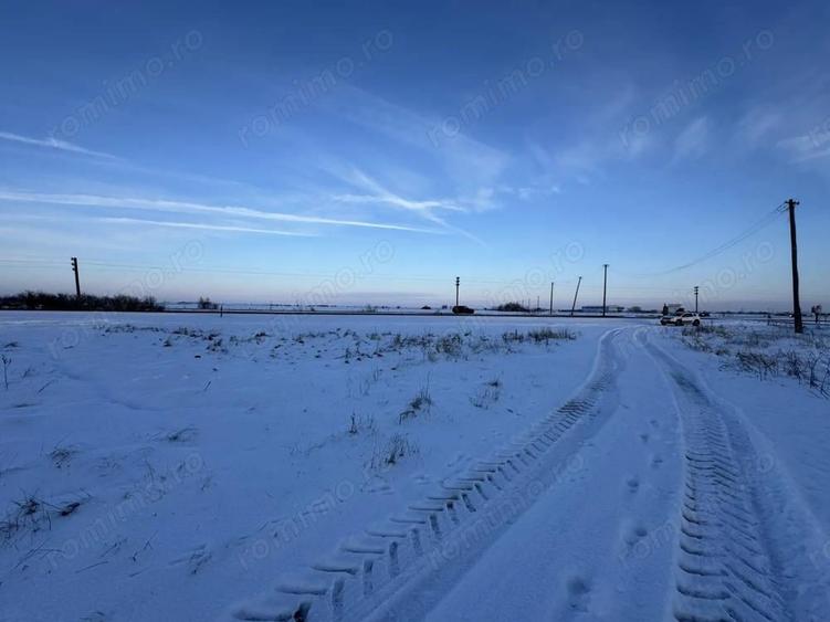 Vand Teren Extravilan Becicherecu Mic(zona industriala) 18.000mp,Utilitati - 6