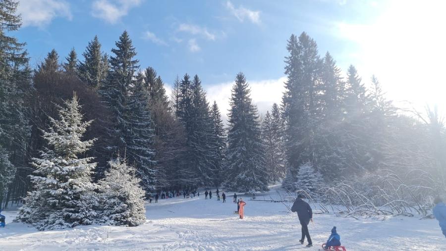 1,93ha de vanzare Poiana Brasov, de la proprietar - 2