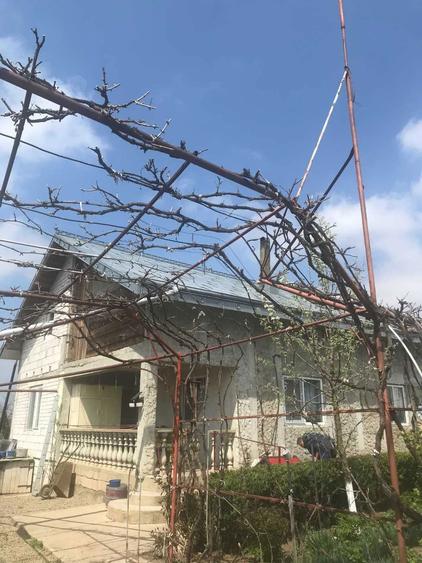 Vand Casa P+M in comuna Rachiti - 6