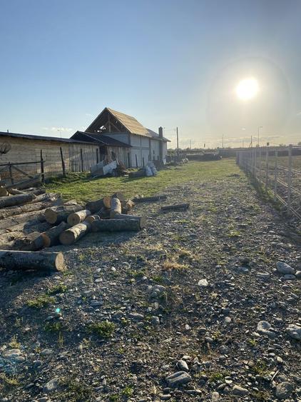 Teren Transfagarasan / Balea Lac / Balea Cascada / Cartisoara - 7
