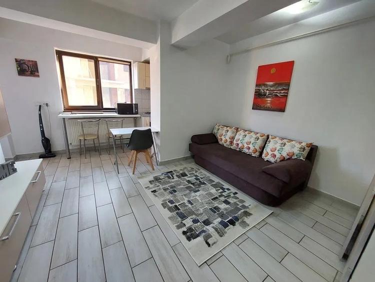 Apartament cu 1 camera, etajul 1/4, zona Tatarasi - 4