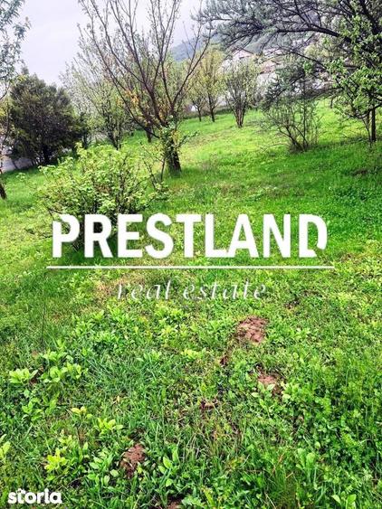 Teren constructie casa de vacanta !! - 5