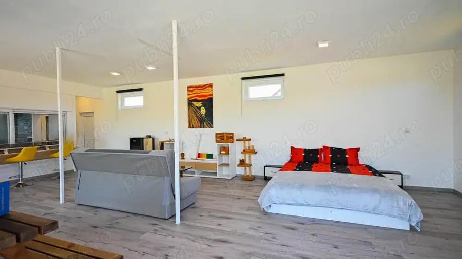 Casa Open Space - Halchiu Satu Nou - Brasov - 1