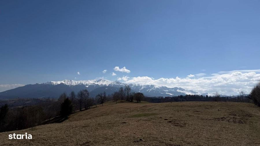 Teren 4584 mp de vanzare Pestera, Moeciu, Brasov - 2