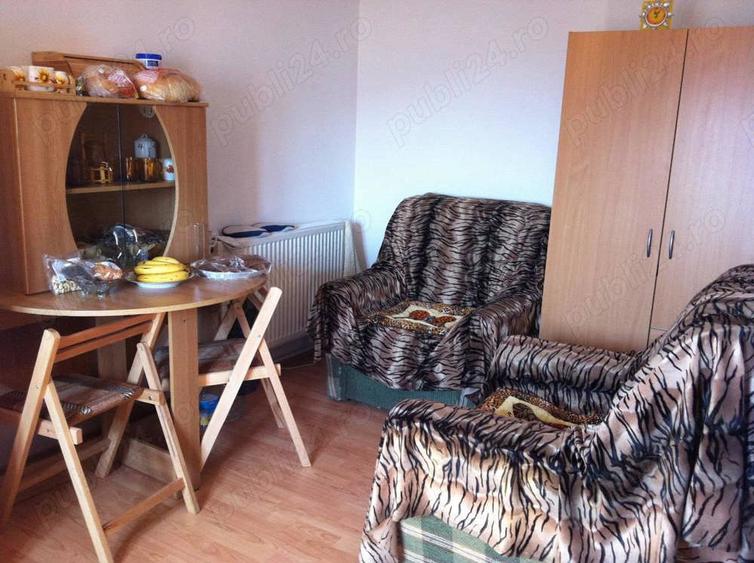 Casa 90 mp cu pamant 2650 mp de vanzare - 7