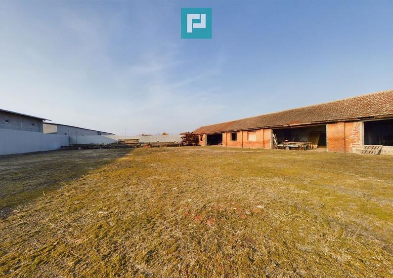 Teren ?i hale pe Calea Aradului din Periam - 7