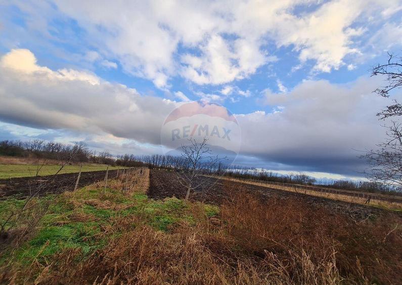 Teren intravilan ,4486mp in Gologanu - 1