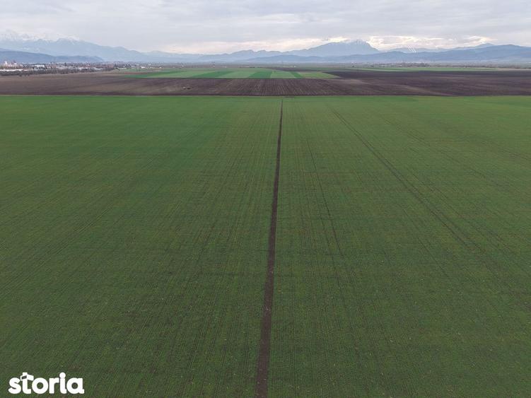 Teren de vanzare 20.000mp Ghimbav, langa Parcul Industrial - 3