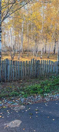 Vanzare teren intravilan - 2