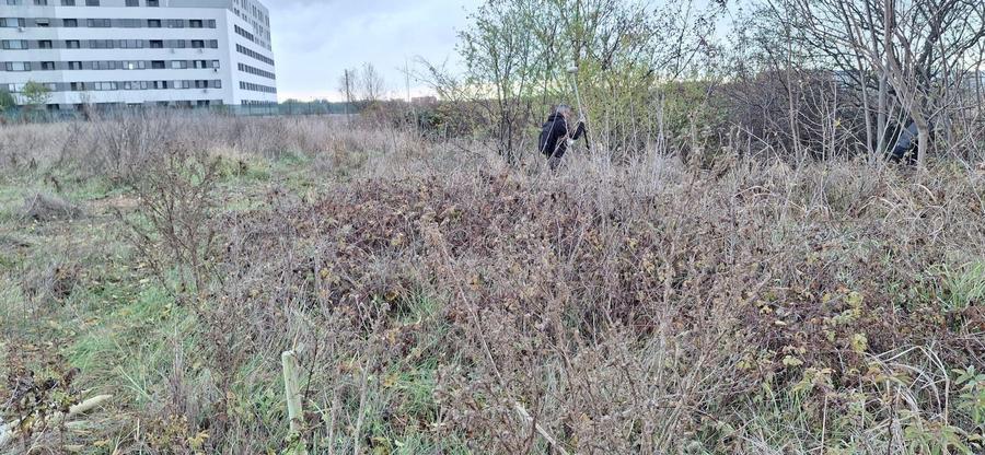 De Vanzare Teren  Bragadiru - 6