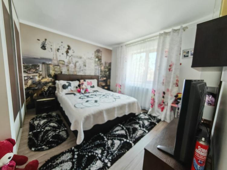 Casa cu pod inalt Lazu - 12