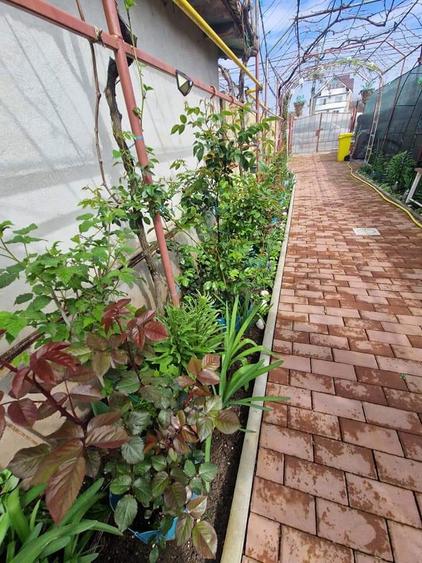 De inchiriat muncitori sau sezon casa 5 cam 2Mai - 11