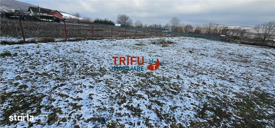 Teren Intravilan Construibil in Mice?ti, Alba Iulia - 1