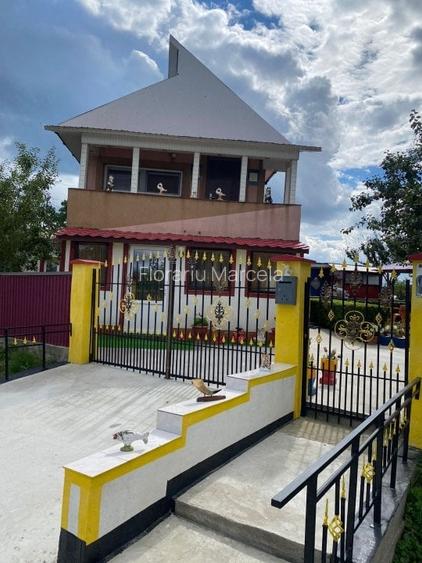 Casa noua + casa renovata in Cucorani