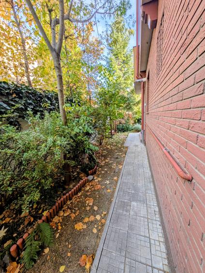 Jiului-Coralilor-Damaroaia,eleganta,robusta,garaj,curte intima,vegetatie matura - 42