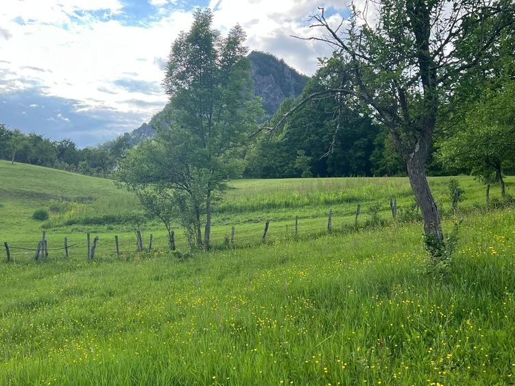 Vand teren intravilan loc.Hartagani HD - 1