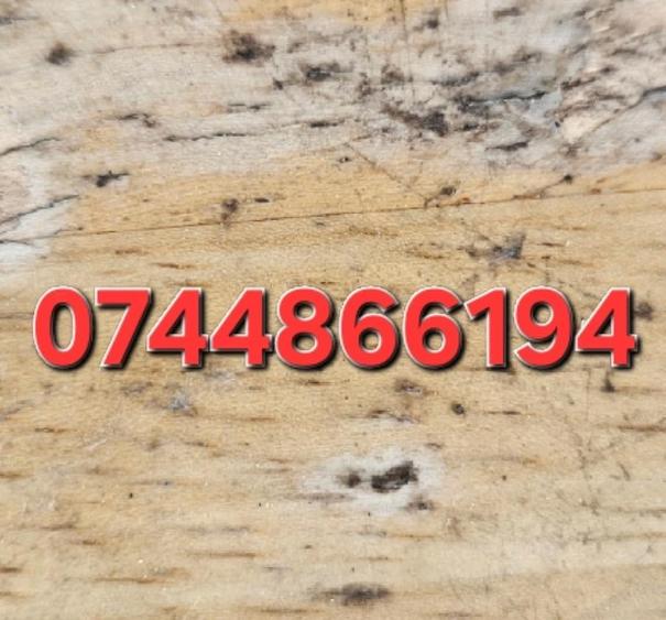 Vand casa Giulvaz strada principala - 4