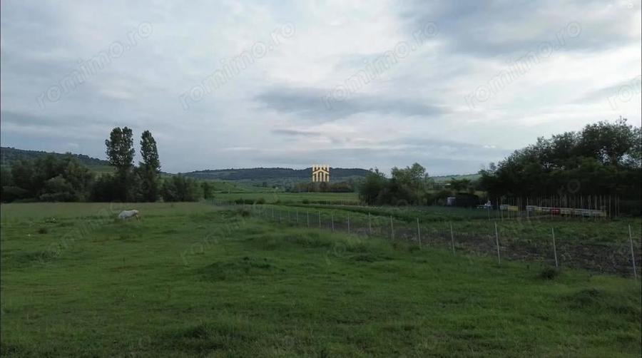 Teren 3953 mp Falticeni Tarna Mare De Vanzare 0727817187 - 10