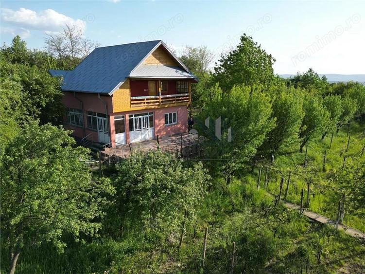 Pietrarie Vila P+1 s=164mp garaj beci teren 2000mp livada vie zona verde - 8