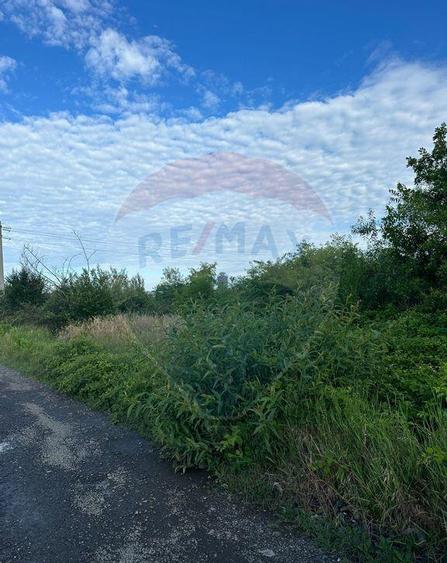 TEREN cuprins in PUZ- zona Fan Curier Baia Mare - 2