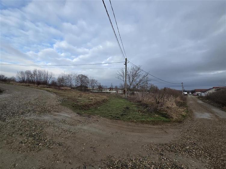 Teren intravilan,dublu front,Paleu,Oradea,Bihor - 3