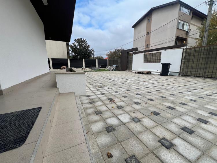 Dimitrie Leonida Metrou - 36