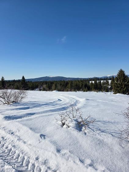 Teren 4000mp, in zona montana, Belis/Cluj - 10