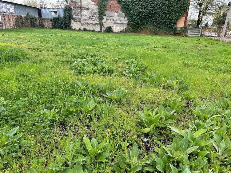 TEREN ZONA CENTRALA PLOIESTI - 5