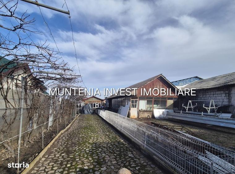 De vanzare Cladire D+P+2E, teren 2000 mp. Zona Targ Saptamanal - 1