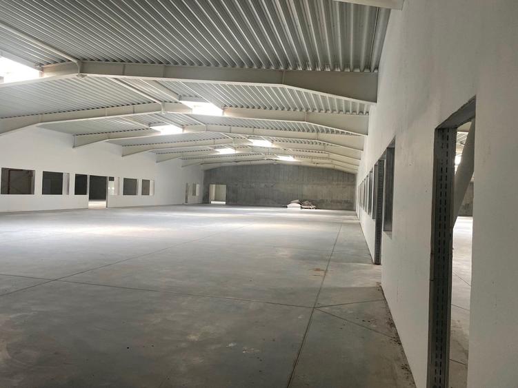 Spațiu industrial, de 4,600 mp, în Sânandrei