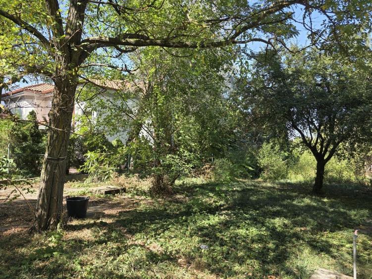 Vanzare teren cu deschidere la lac, zona Ciofliceni - Sangov. - 5