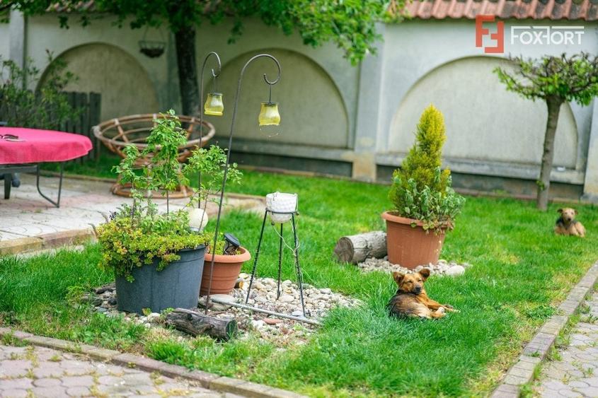 Casa individuala cu teren 1702 mp - ID V4657 - 20