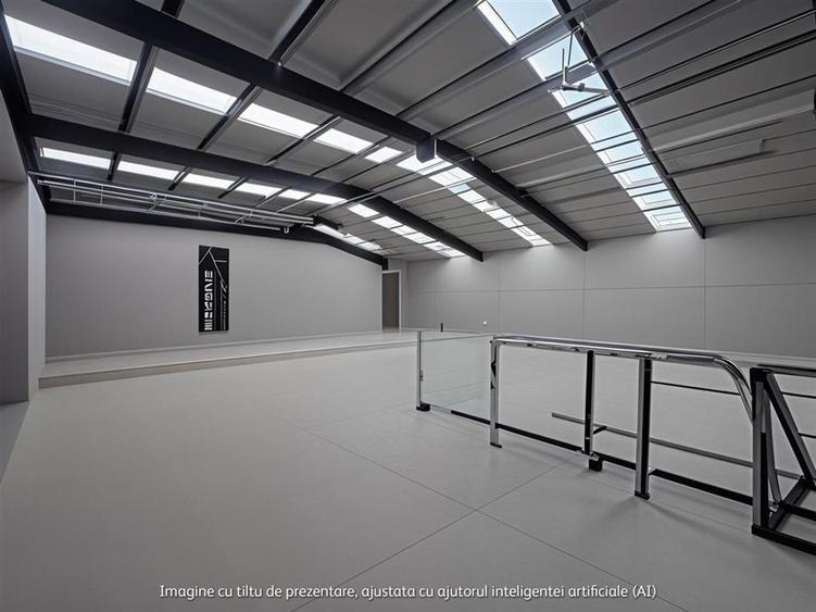 Complex de hale  de vanzare in zona de Nord - 2