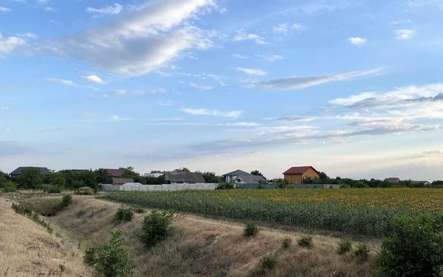 Tamasi, langa padure, 12.824 mp, deschidere 45 ml, teren ... - 9