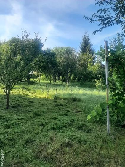 Vand casa de vacanta in Frunzeni jud. Mures - 1